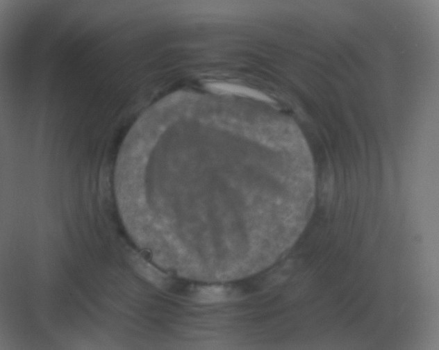 X0000081330473200702082207