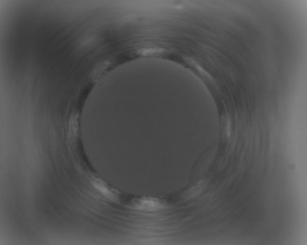 X0000081330475200702082207