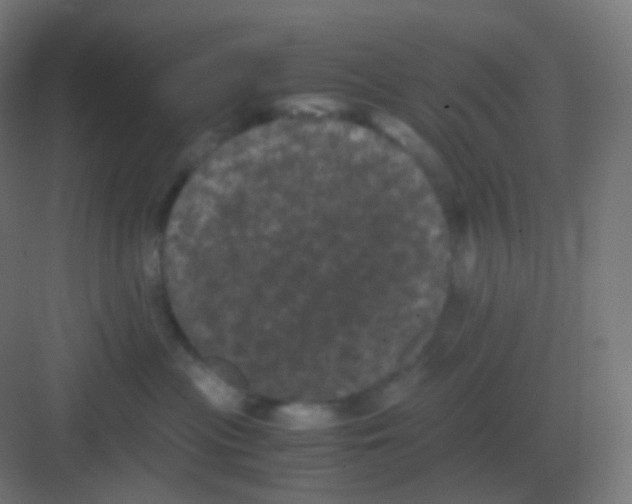 X0000081330477200702082207