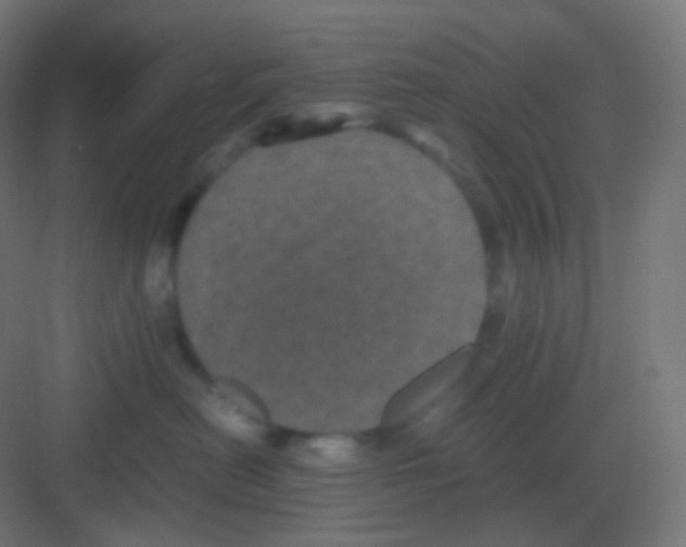 X0000081330478200702082207