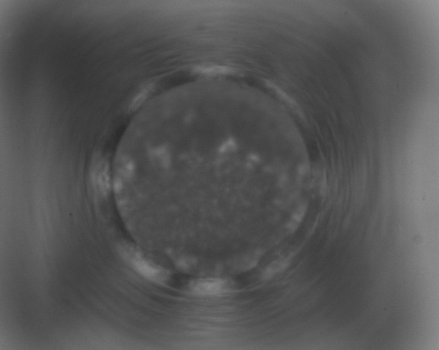 X0000081330479200702082207