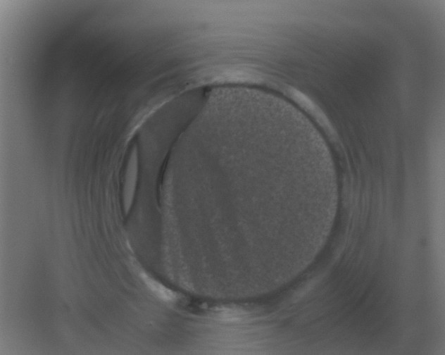 X0000081330481200702082206