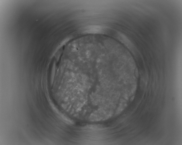 X0000081330482200702082206