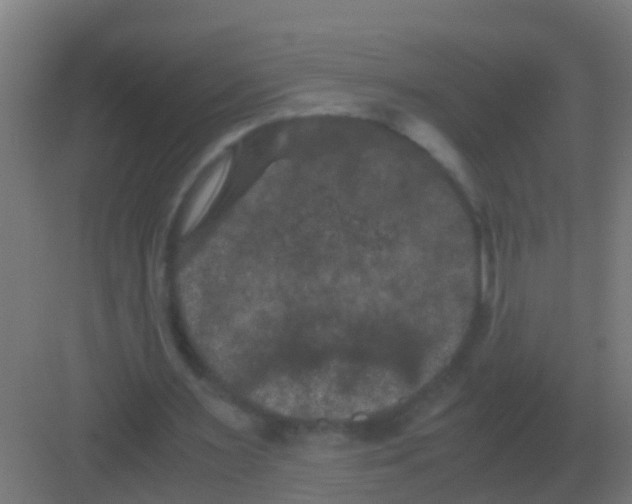 X0000081330483200702082206