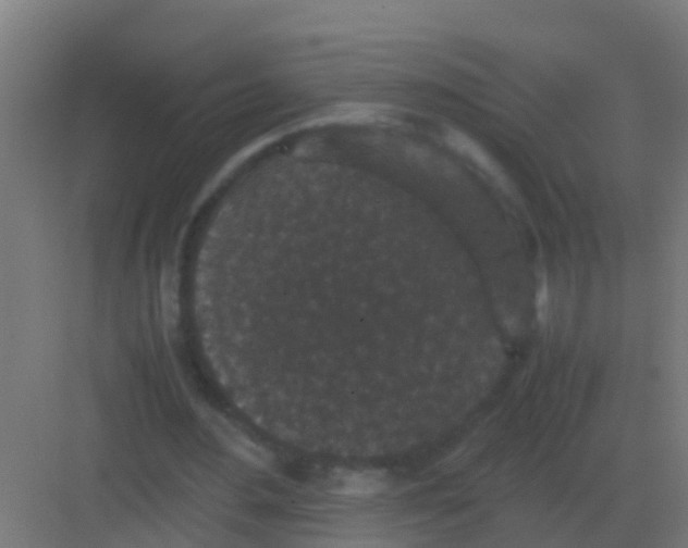 X0000081330484200702082206