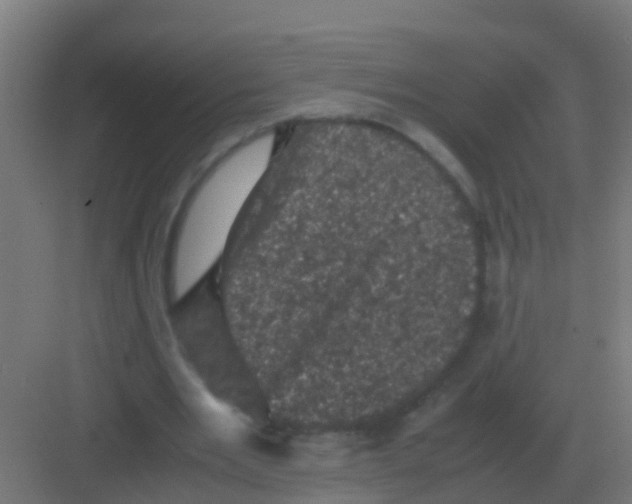 X0000081330485200702082206