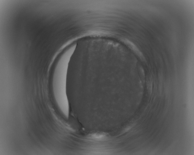 X0000081330488200702082206