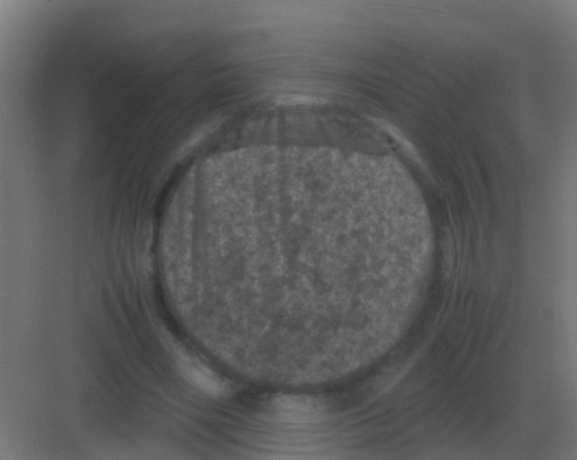 X0000081330490200702082206