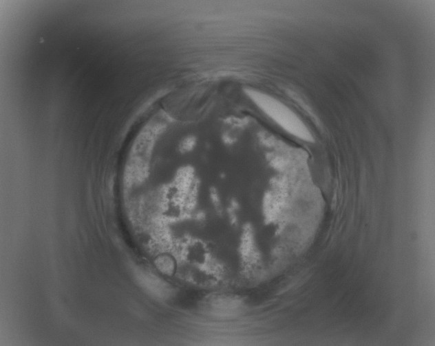 X0000081330491200702082206