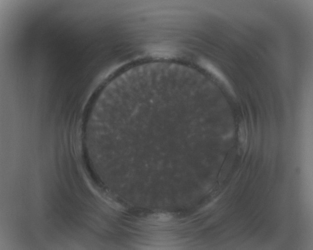 X0000081330492200702082206