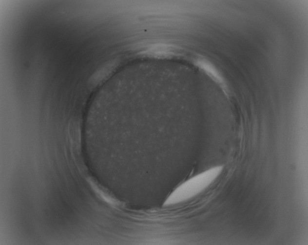 X0000081330493200702082206