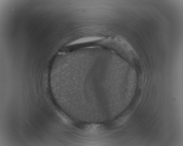 X0000081330497200702082206