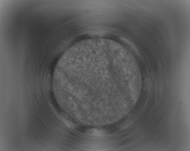 X0000081330498200702082206