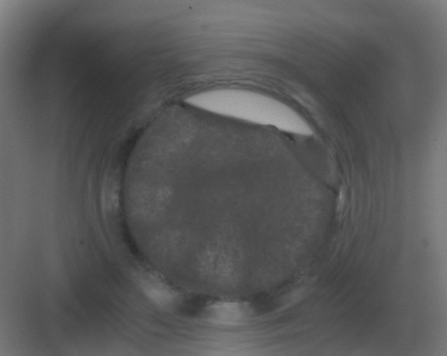 X0000081330499200702082206