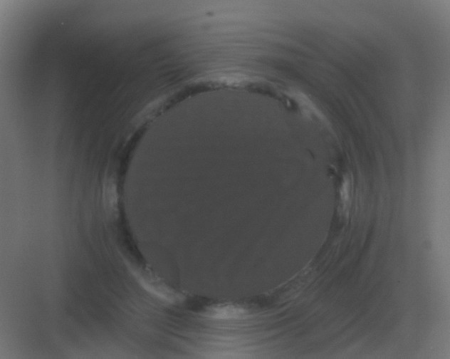 X0000081330500200702082206