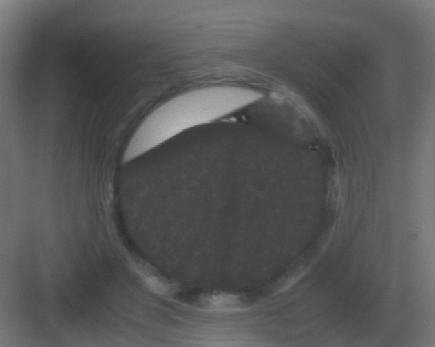 X0000081330501200702082206