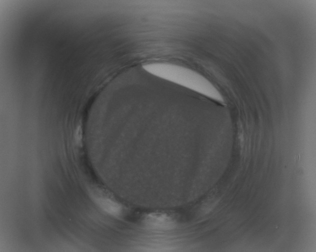 X0000081330502200702082206