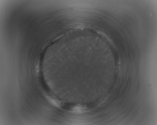 X0000081330504200702082206