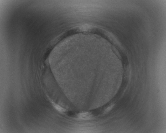 X0000081330505200702082206