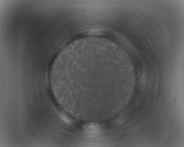 X0000081330506200702082206