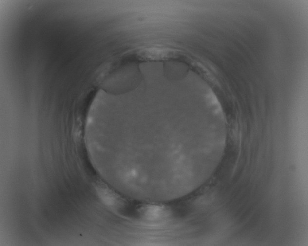 X0000081330507200702082206