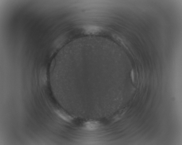 X0000081330508200702082206