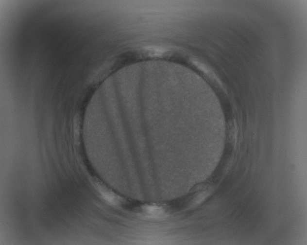 X0000081330509200702082206