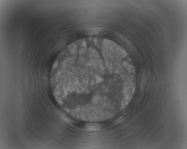 X0000081330510200702082206