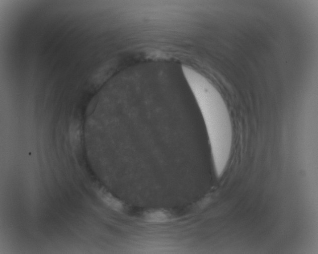 X0000081330513200702082205