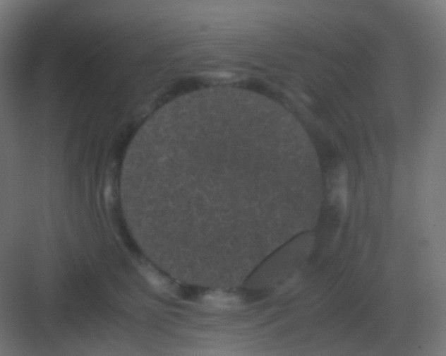 X0000081330515200702082205