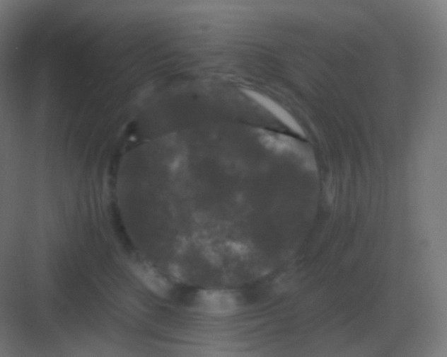 X0000081330520200702082205