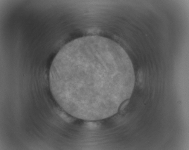 X0000081330522200702082205