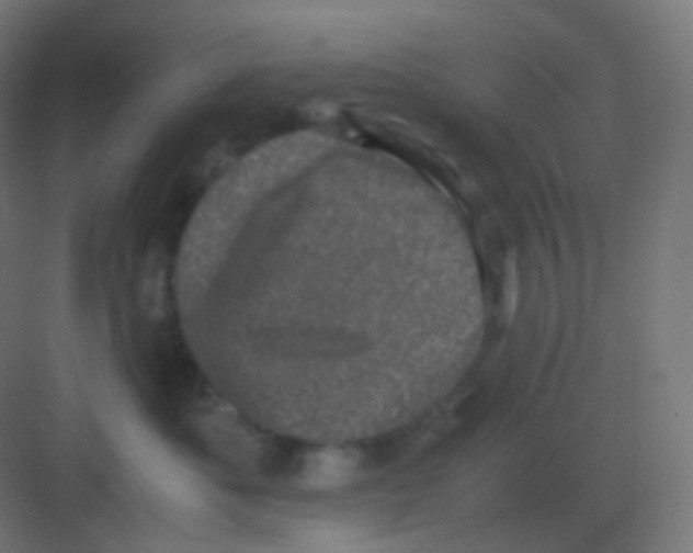 X0000081330525200702082205