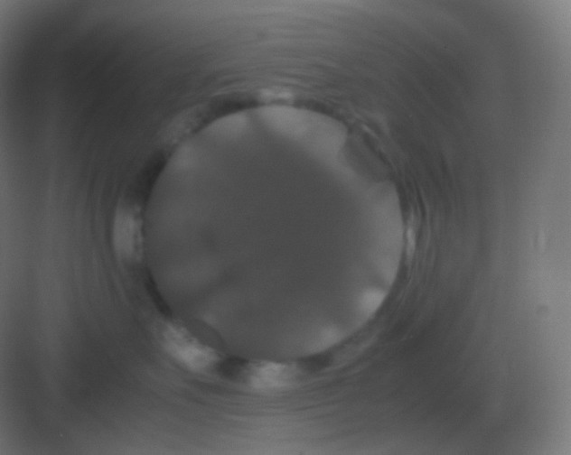 X0000081330527200702082205