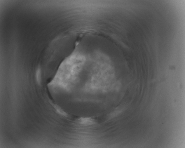 X0000081330528200702082205