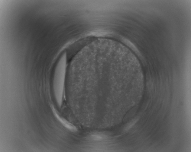 X0000081330530200702082204