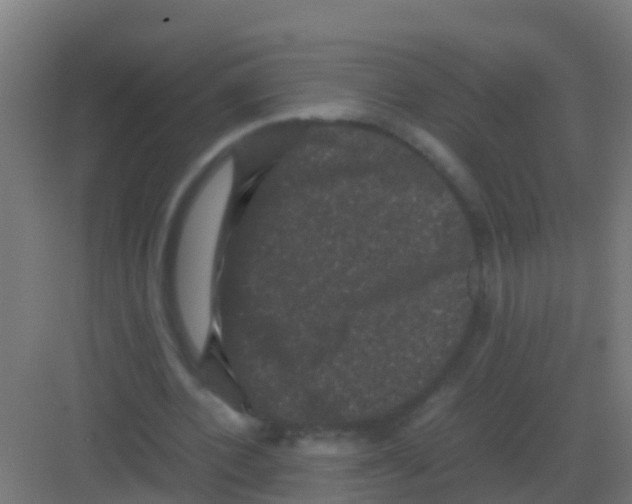 X0000081330532200702082204