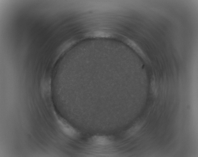 X0000081330534200702082204