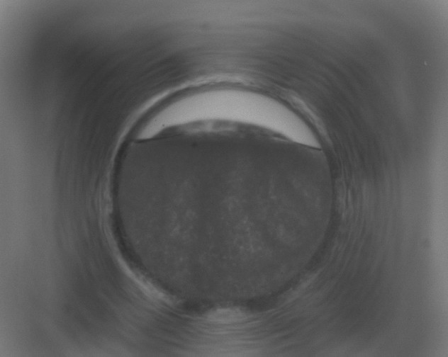 X0000081330536200702082205