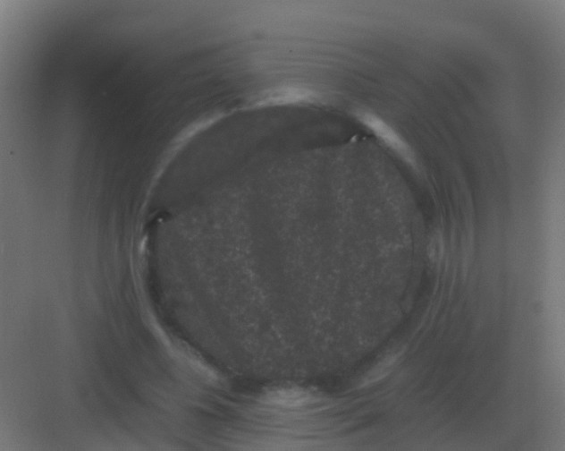 X0000081330540200702082205