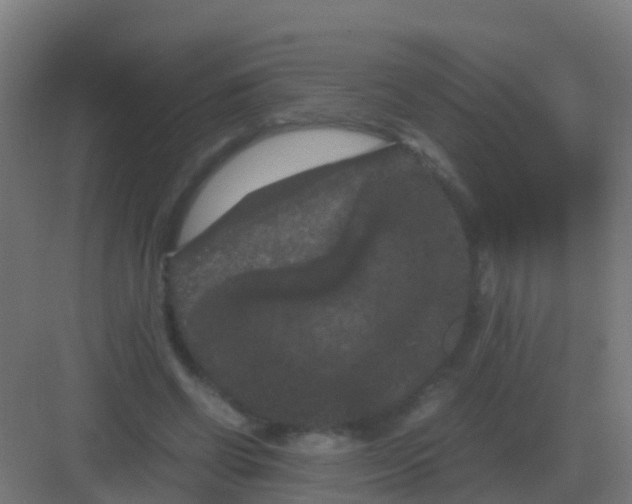 X0000081330542200702082205