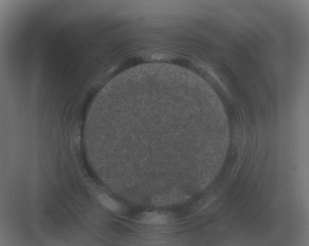 X0000081330545200702082205