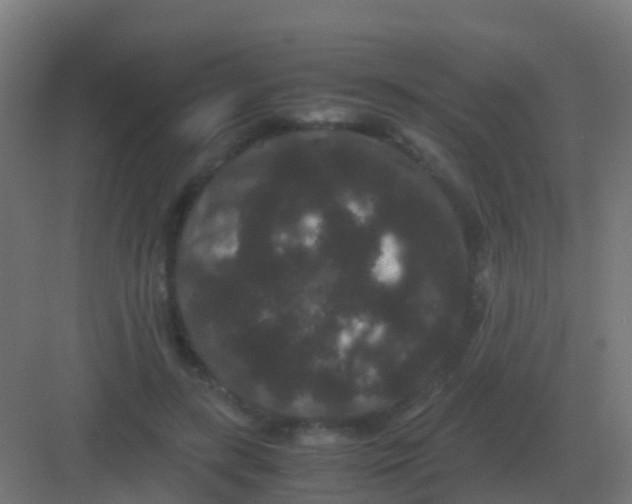 X0000081330547200702082205