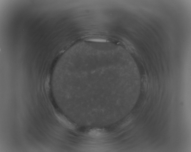 X0000081330550200702082205