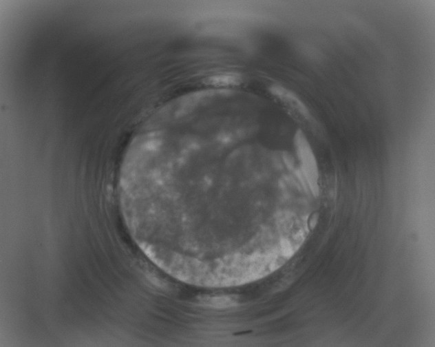 X0000081330553200702082205