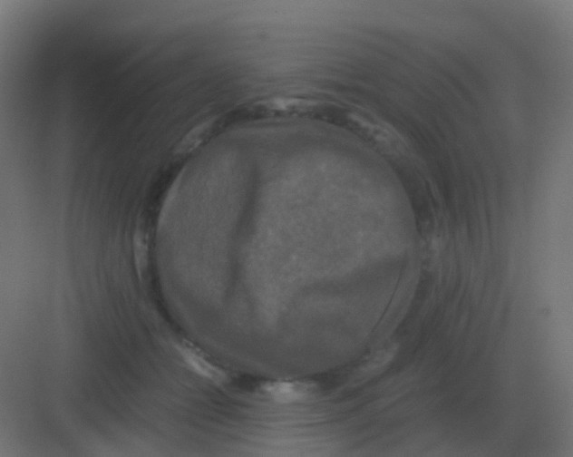 X0000081330558200702082205