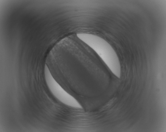 X0000081330560200702082205