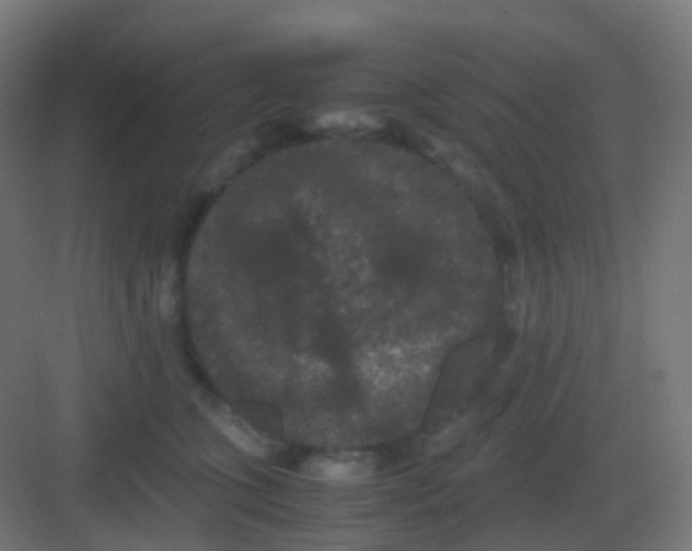 X0000081330563200702082205