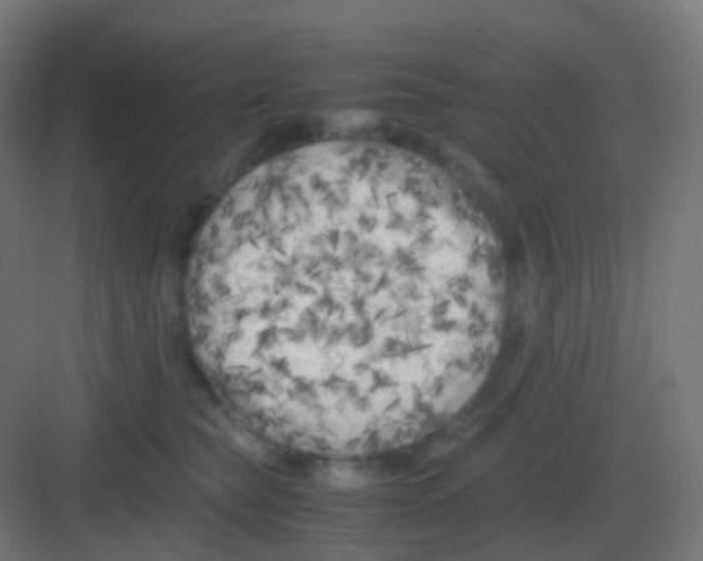 X0000081330565200702082205