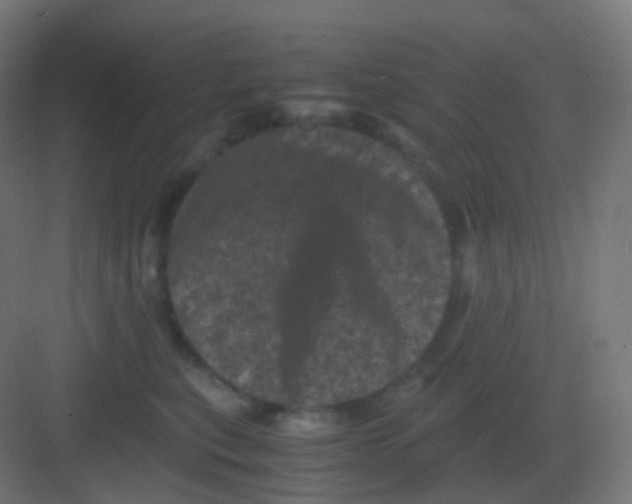 X0000081330567200702082205